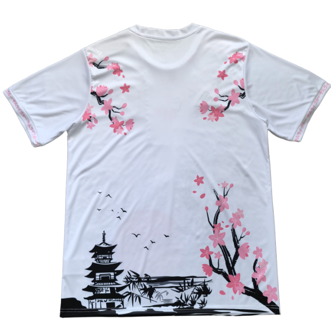 Japon Concept 2025