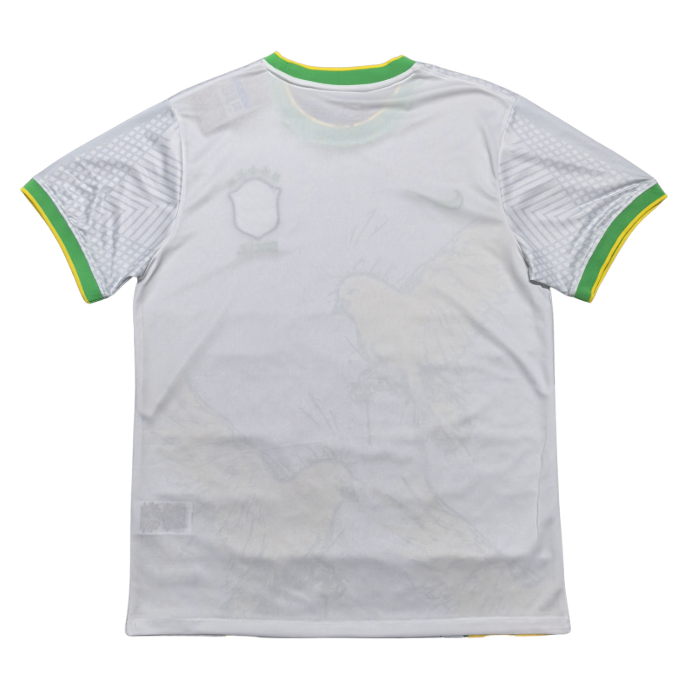 Brésil Concept 2025