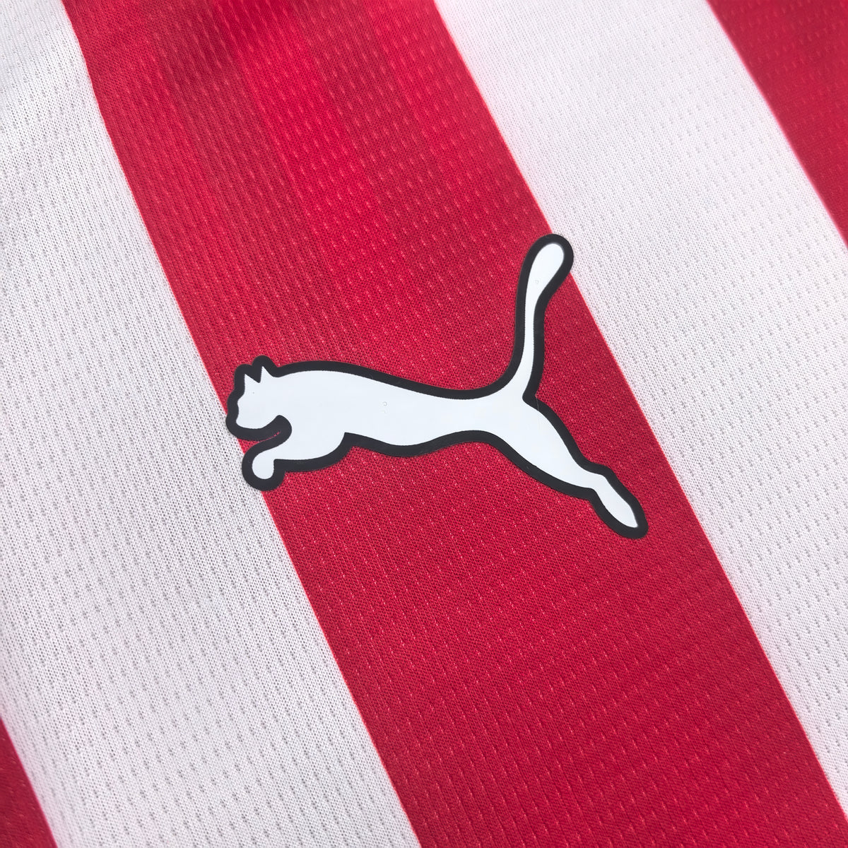 Southampton Domicile 2026-2027 – photo 3