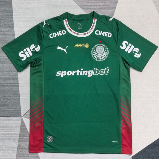 Palmeiras Vert Domicile 2026-2027 – photo 1