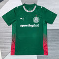 Palmeiras Domicile 2026-2027 – photo 1
