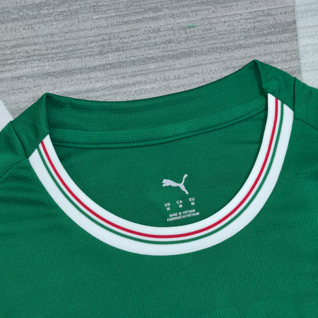 Palmeiras Domicile 2026-2027 – photo 2