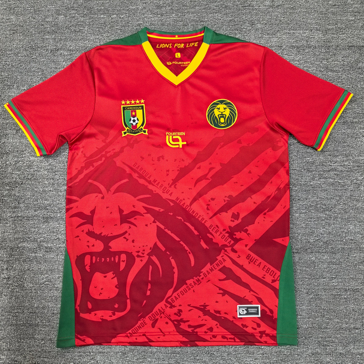 Cameroun extérieur 2025/2026