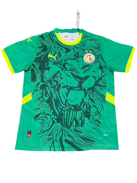 Sénégal Domicile ⭐️⭐️ 2025-206