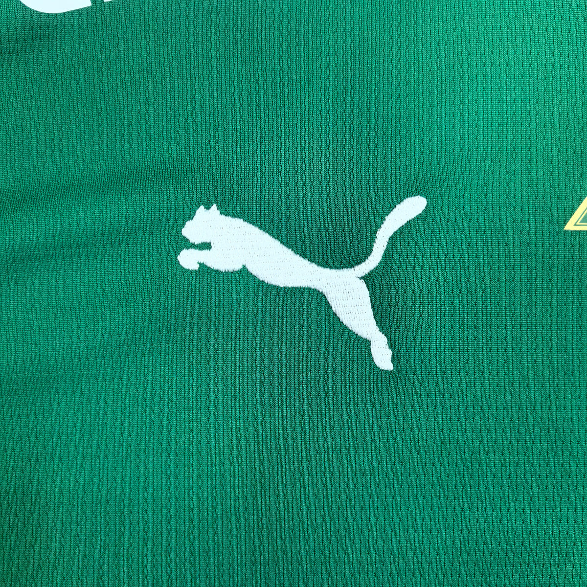Palmeiras Vert Domicile 2026-2027 – photo 3