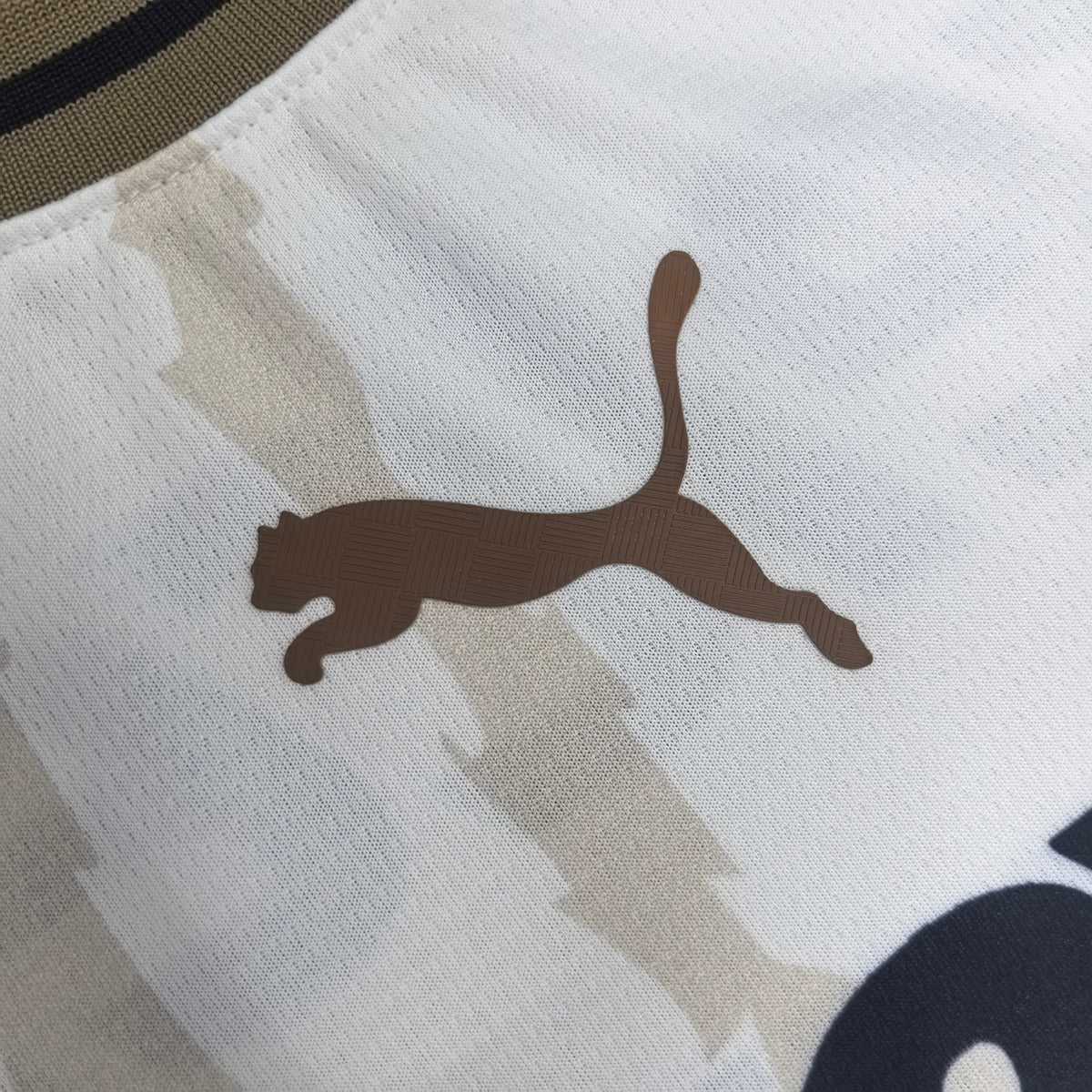 Pumas UNAM Domicile 2026-2027 – photo 3